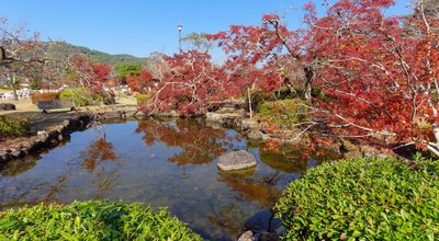 🏞️ 서계 공원(세이케이 코эн) 이미지 2